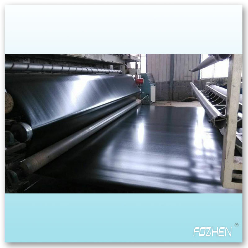 Geomembrane